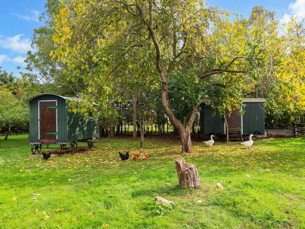 A green hut with chickens and geese in a field at The Barn in Tamworth