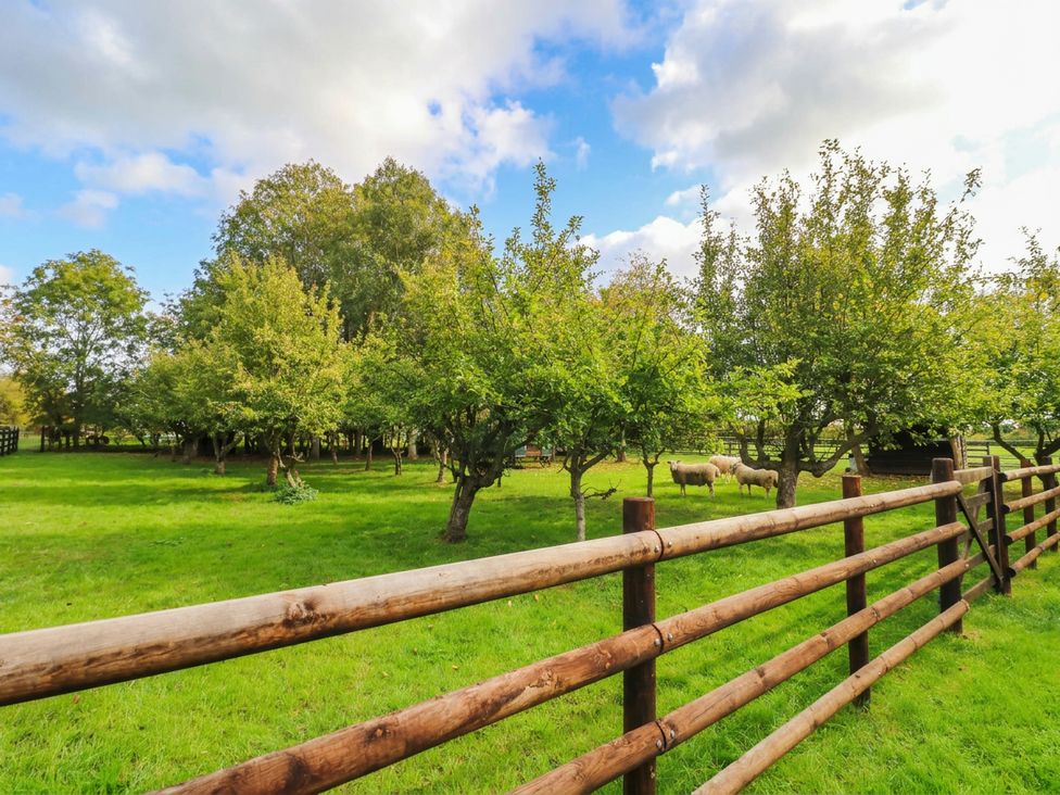 An outdoor area with trees and sheep at The Barn in Tamworth