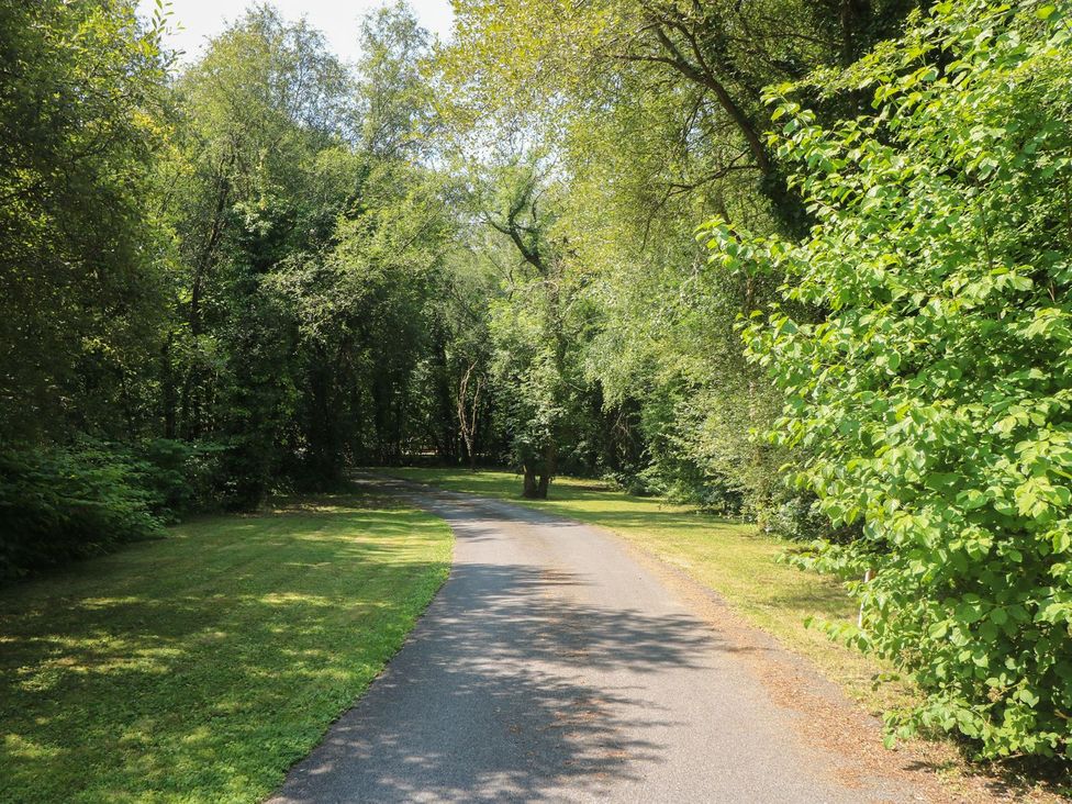 A pathway surrounded by trees at Annexe @ Meadows Farm Gorseinon
