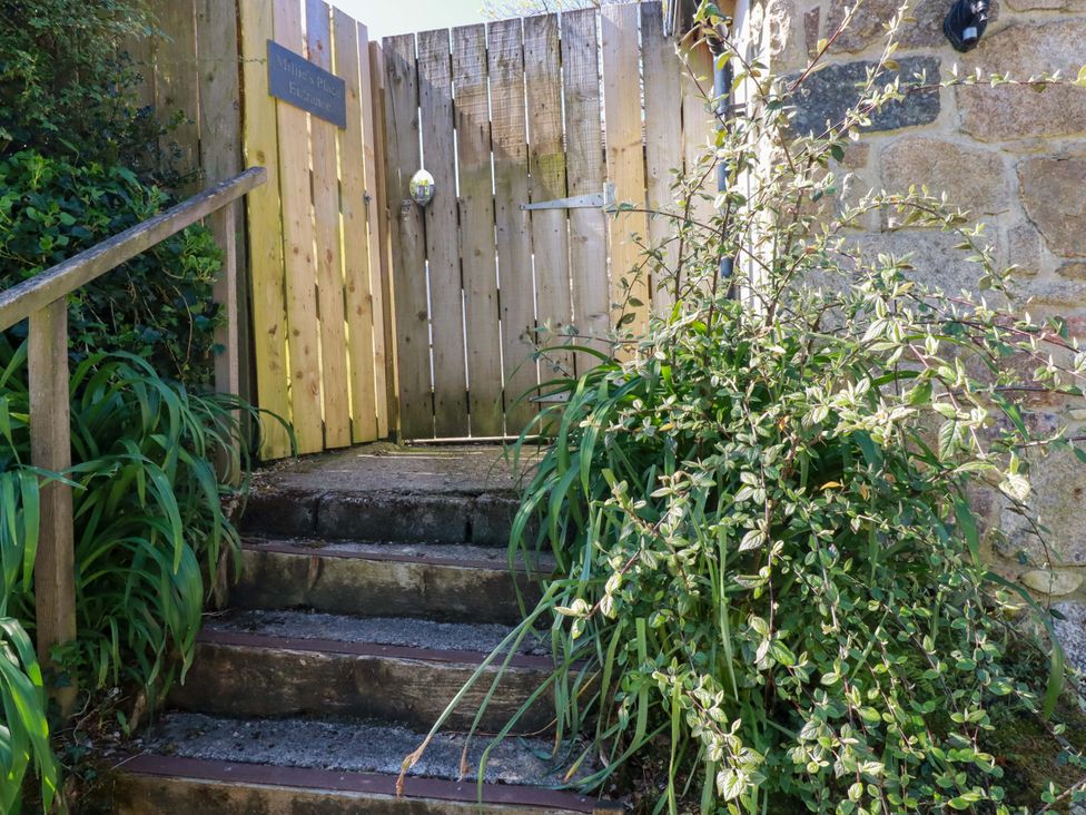 A gate with steps and plants at Millies Place in St Austell