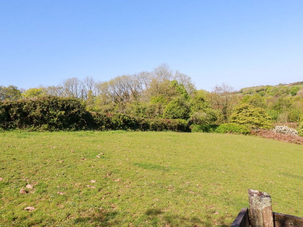 A grassy area with trees and bushes at Millies Place St Austell