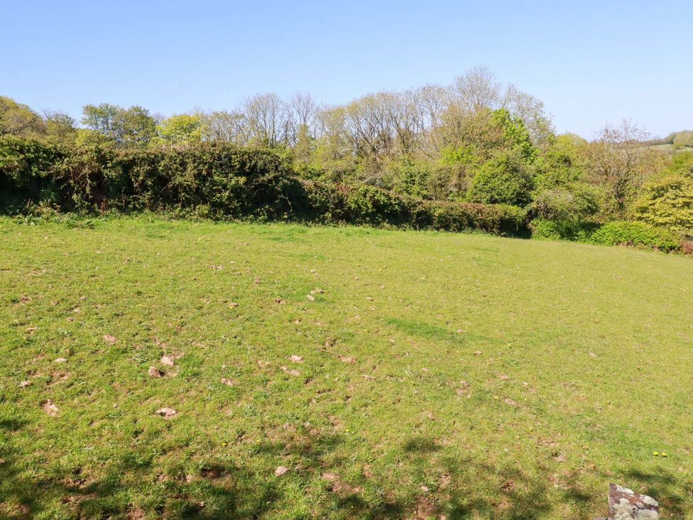 A grassy area with trees and bushes at Millies Place St Austell