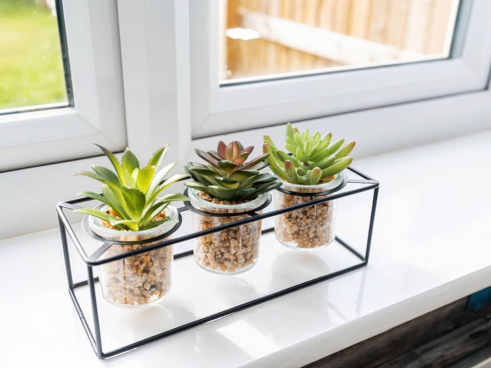 Three succulent plants in glass jars on a windowsill at 59 Eagle Drive Grimsby