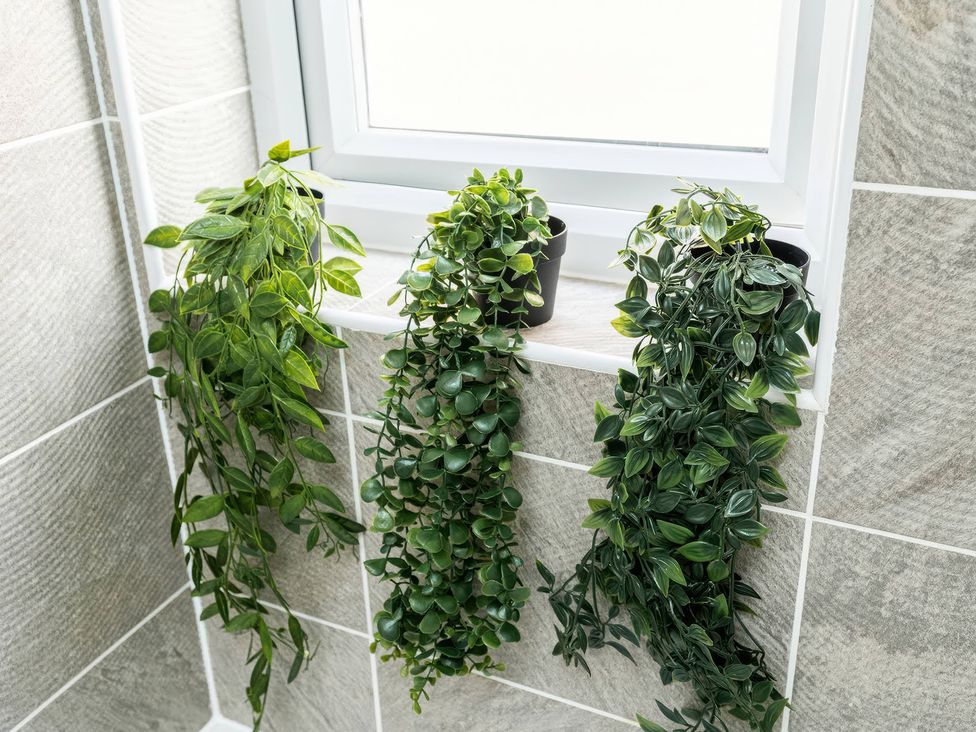 Plants on a window sill in a bathroom at 59 Eagle Drive, Grimsby