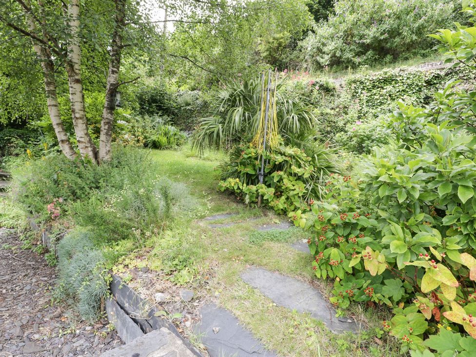 A garden with a pathway surrounded by plants at Bodorwel Cottage Penrhyndeudraeth