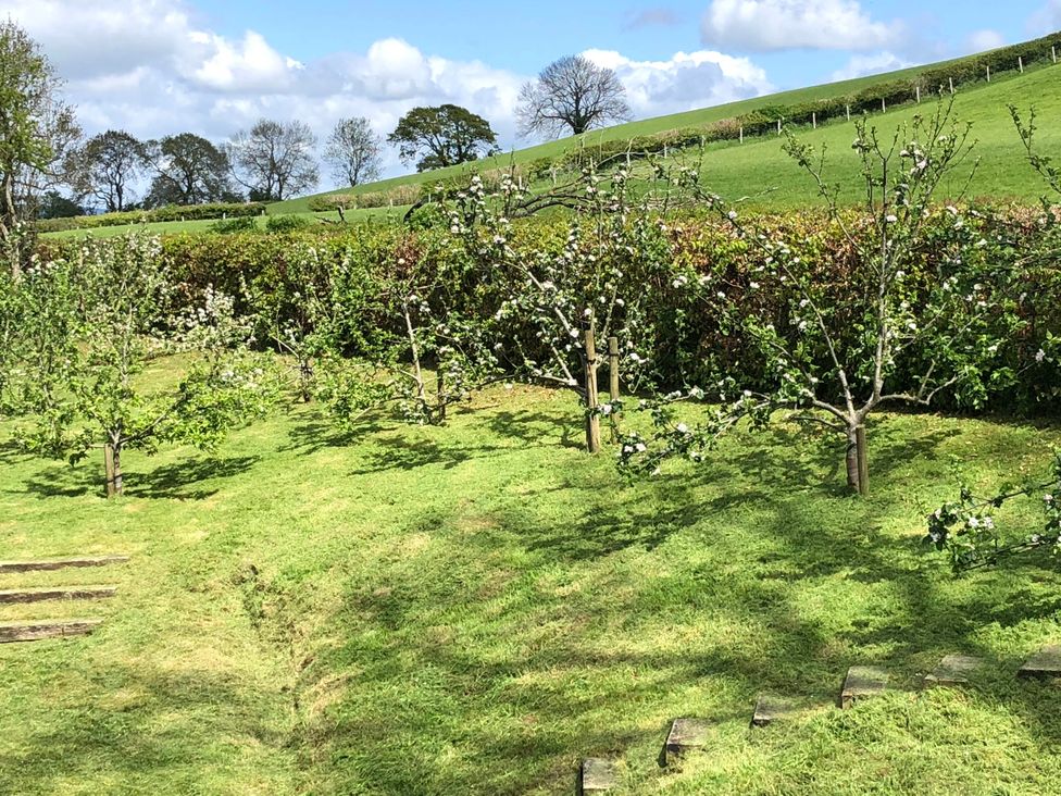 A garden with apple trees and a grassy area at The Peacock Shepherds Hut at Hafoty Boeth, Corwen