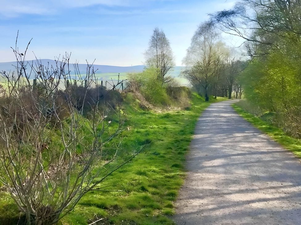 A pathway lined with trees and bushes at 1-Bed House, Sleeps 4, Free Parking