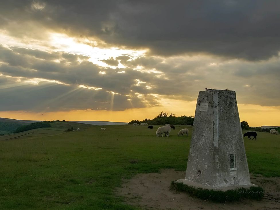 A trig point surrounded by sheep on a grassy field at Stone Moor Lodge, Justin's Peak District Base Camp, Sheffield