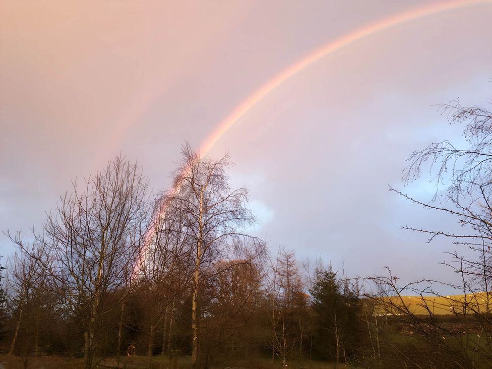 A rainbow in the sky above trees at Converted Stone Barn -20 Acres - Farm Animals! Corwen