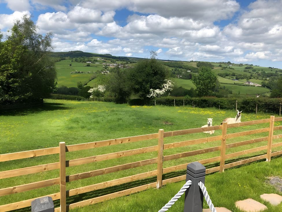 A grassy area with a wooden fence and animals at The Shepherds Hut at Hafoty Boeth, Corwen