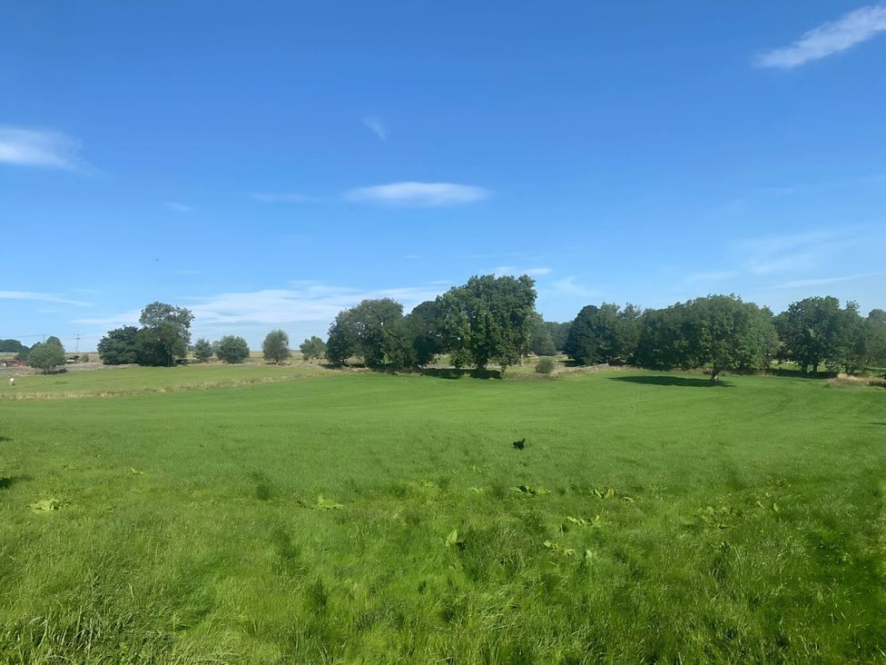 A field with trees under a blue sky at Cosy Apartment above Village Pub