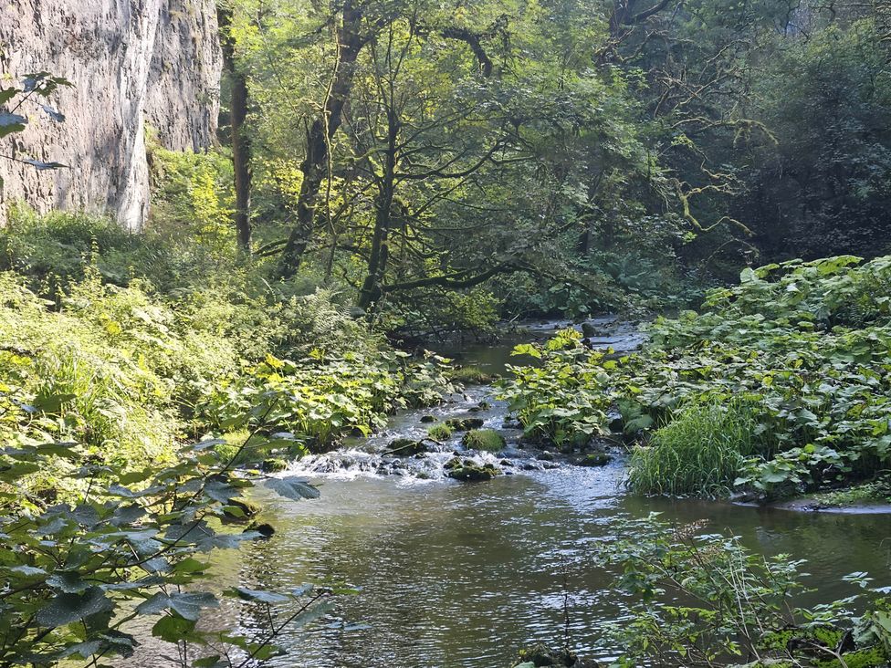 A stream surrounded by plants and trees at Rose Cottage - Cosy cottage in Millers Dale, Chapel-En-Le-Frith