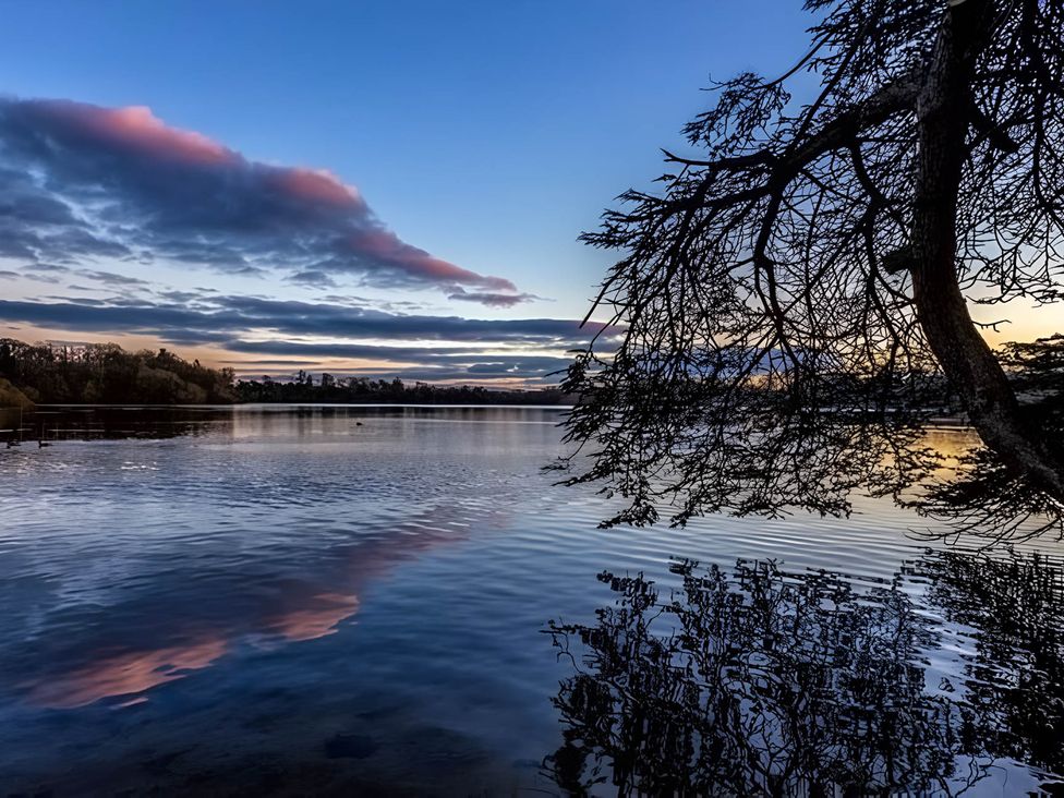 A lake with trees and clouds reflected in the water at Central Ellesmere - Stay 2 - Parking - PetFriendly 