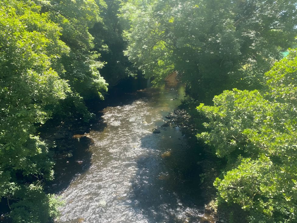 A stream flowing between trees at 2-Bed Flat in Summerbridge Harrogate, Pet Friendly