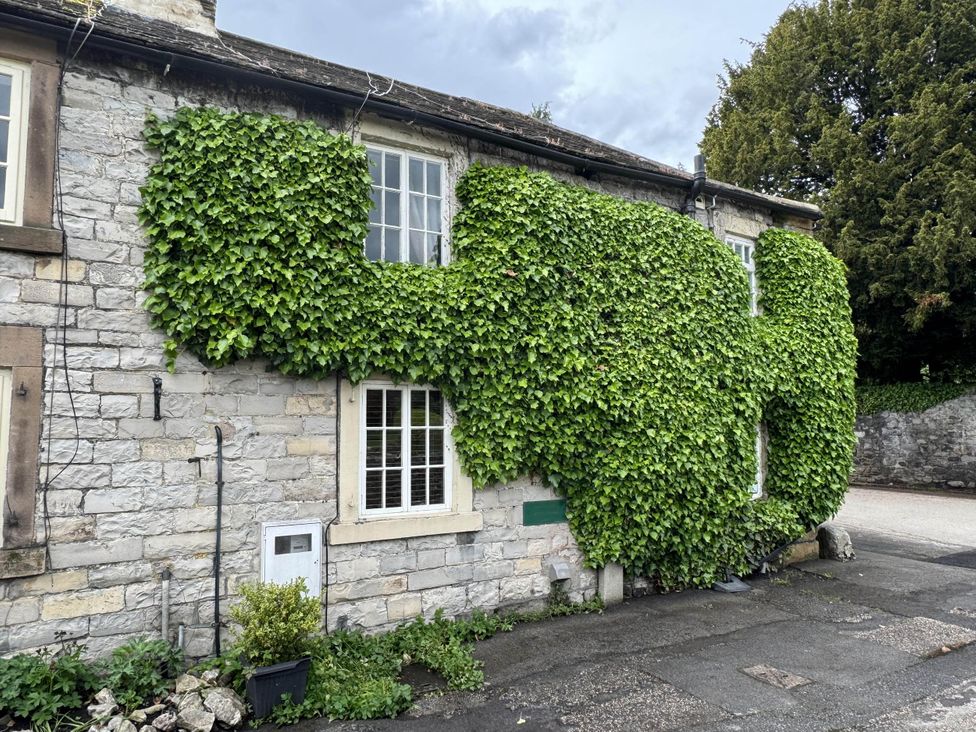 An exterior wall covered in ivy with windows at Stunning cottage - 3 Bedrooms & 3 Bathrooms