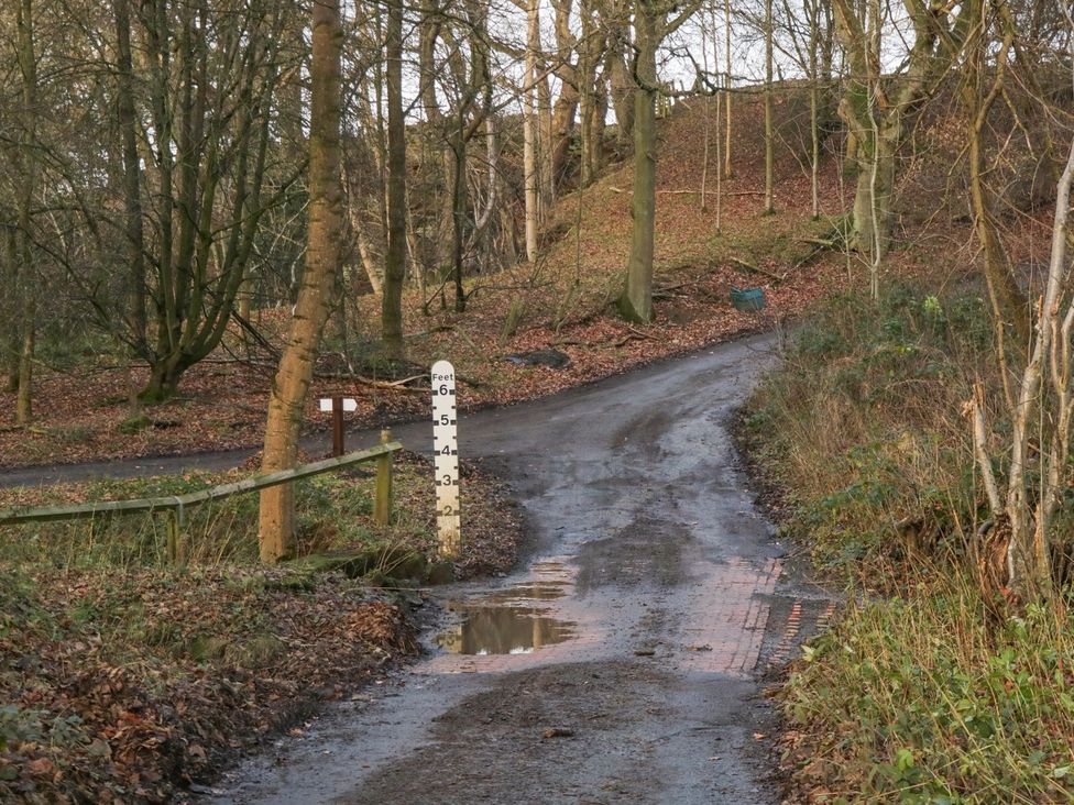 A road with a signpost and trees in a woodland area at Little Esklets in Whitby
