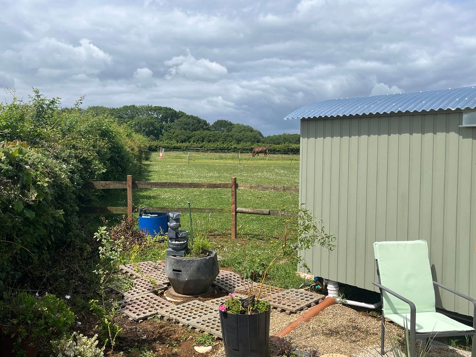 A garden with a horse in a field and a shed at Shepherd Hut in Gloucester