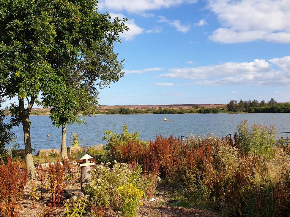 A lake with surrounding foliage at Restored circus wagon, Saltburn-By-The-Sea
