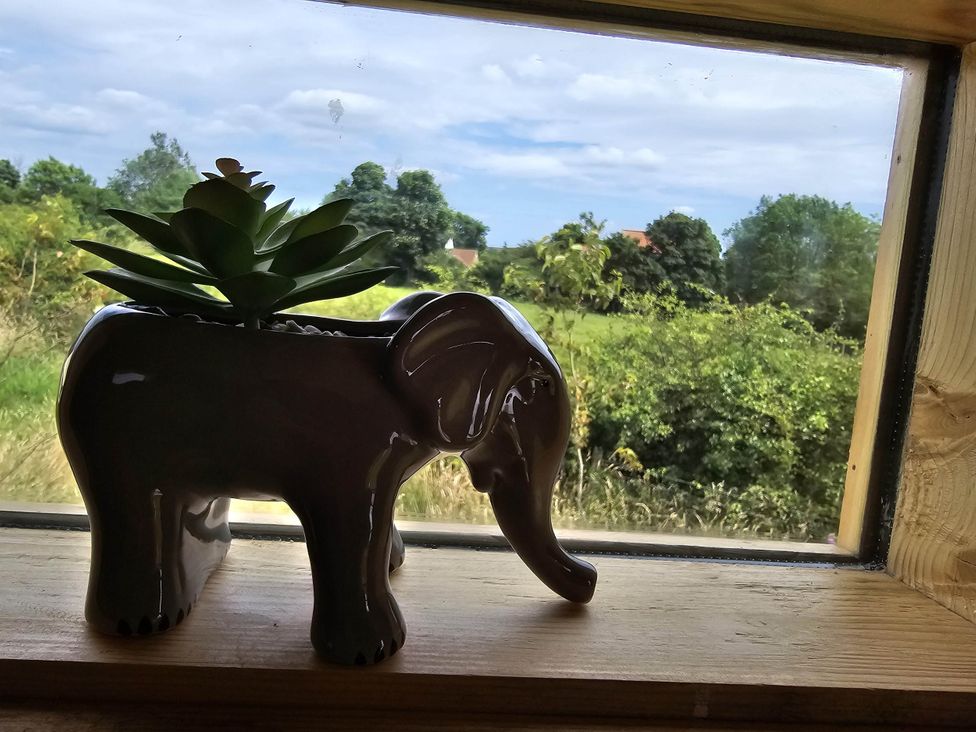 An elephant-shaped planter with a succulent plant at Restored circus wagon Saltburn-By-The-Sea