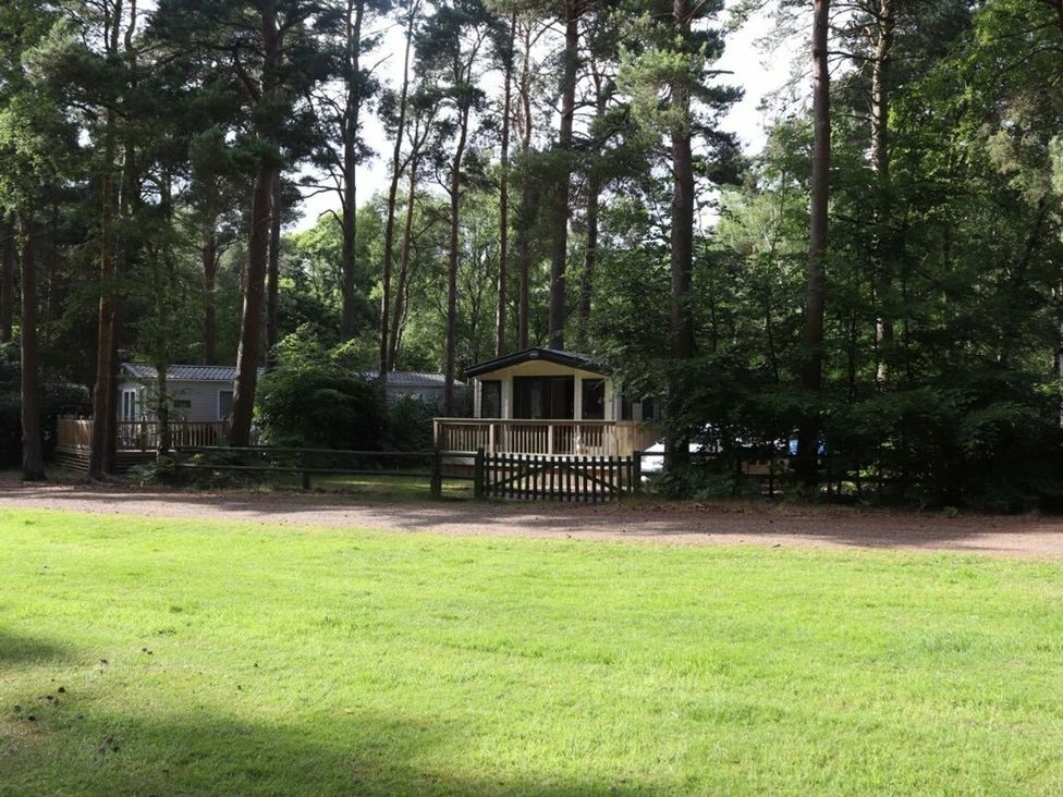 A cabin in a wooded area at Living The Dream in Holt