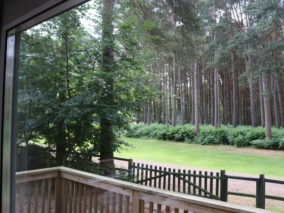 A view of trees and grass from a balcony at Living The Dream in Holt