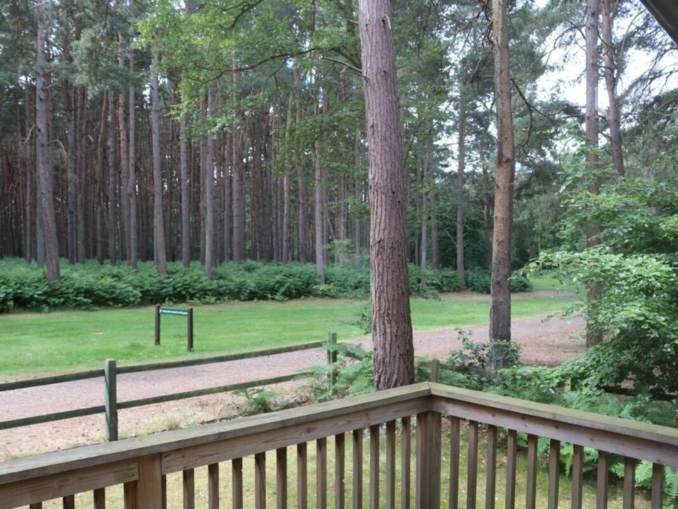 A view of trees and a path from a wooden balcony at Living The Dream in Holt