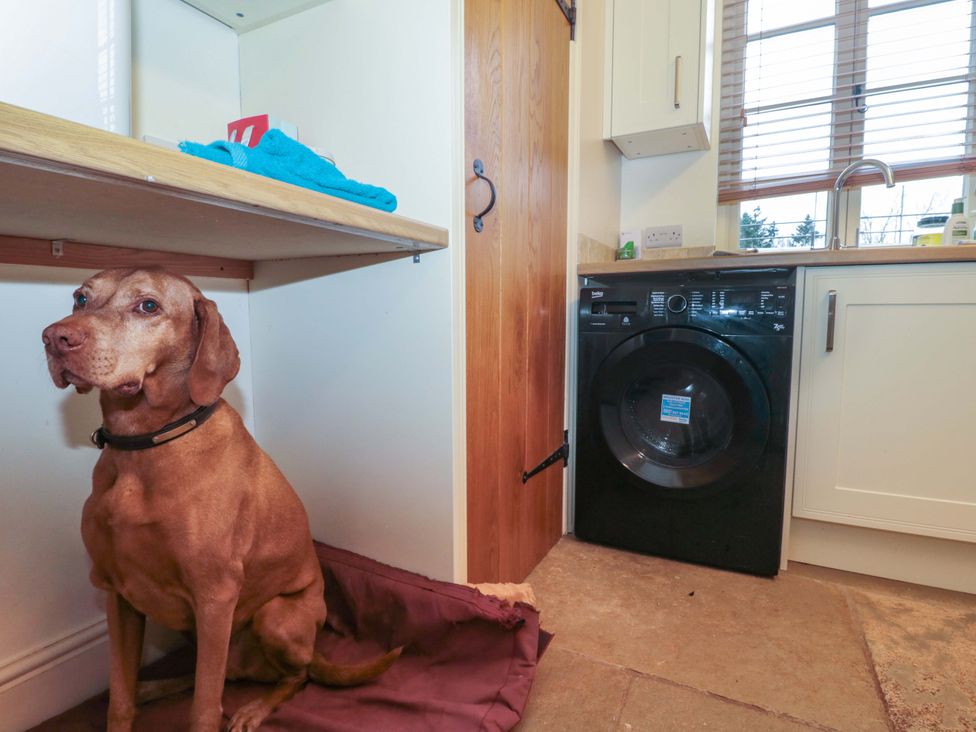 A laundry room with a washing machine and a dog at Tuxwell Lodge in Spaxton near Nether Stowey