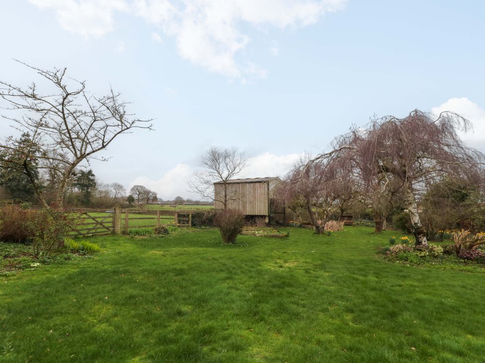 A garden with a shed and trees at Tuxwell Lodge in Spaxton near Nether Stowey
