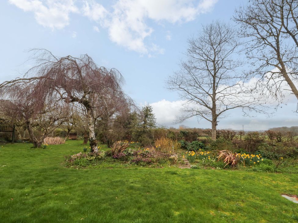 A garden with grass and trees at Tuxwell Lodge in Spaxton near Nether Stowey