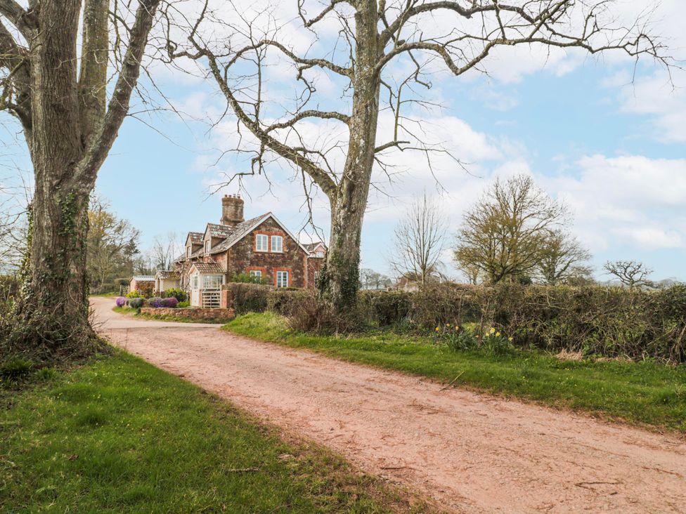 A house with a driveway and trees at Tuxwell Lodge near Nether Stowey