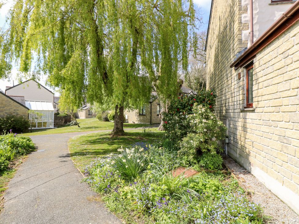 An outdoor area with a tree and flowers at Oak Cottage in Falmouth