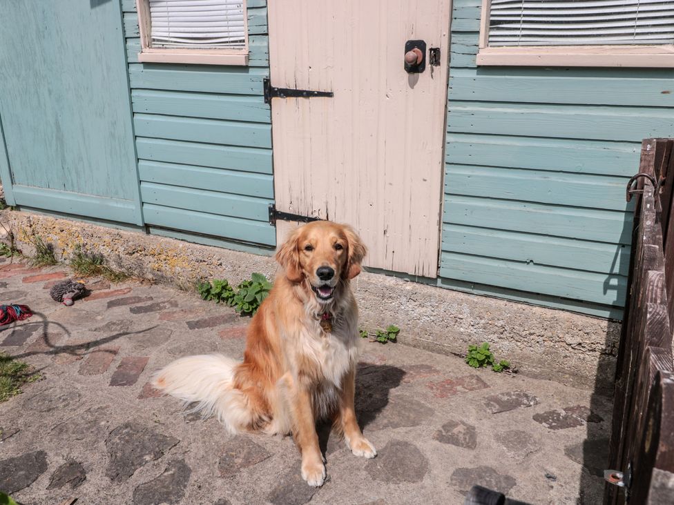 A dog sitting near a house door at Ruby’s Den Ashton Keynes