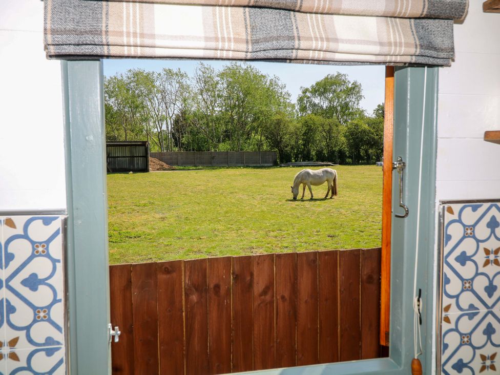 A view from a kitchen window showing a horse grazing in a field at Shepherds Hut in South Hykeham