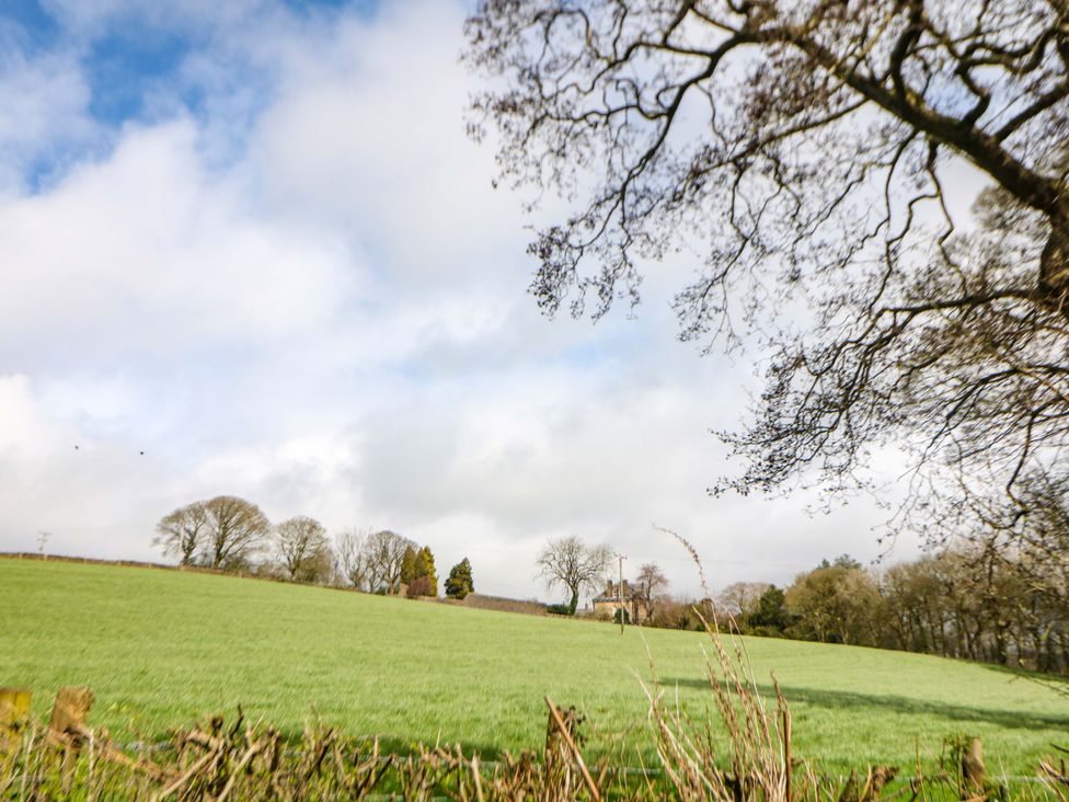 A field with grass and trees at Glenside Lodge in Chapel-En-Le-Frith