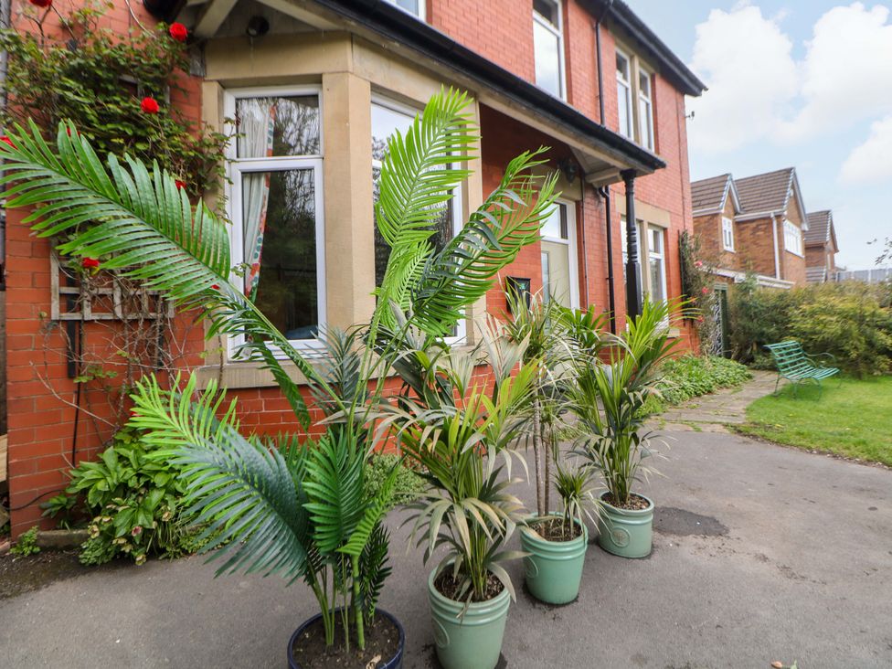 Plants in pots near the house at Glenside Lodge in Chapel-En-Le-Frith
