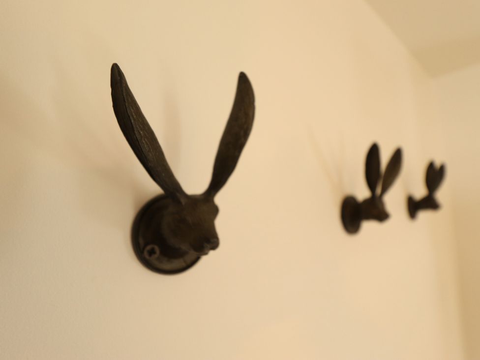 Decorative hooks shaped like rabbit heads at 4 Eve Street Louth