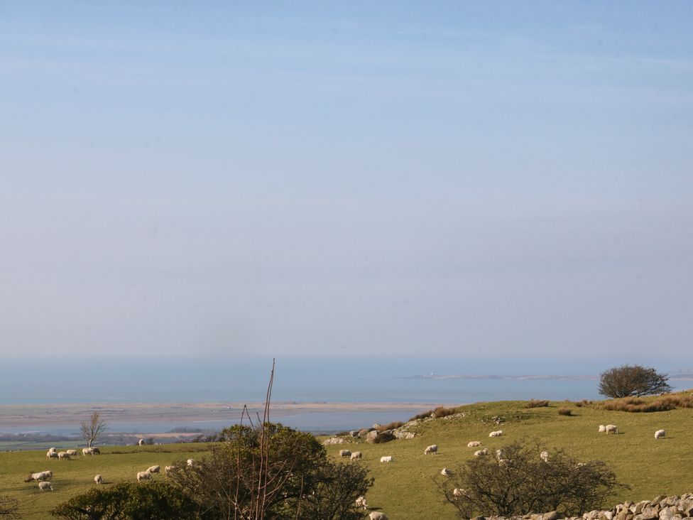 A landscape with sheep grazing in a field near the sea at Studio near Bontnewydd