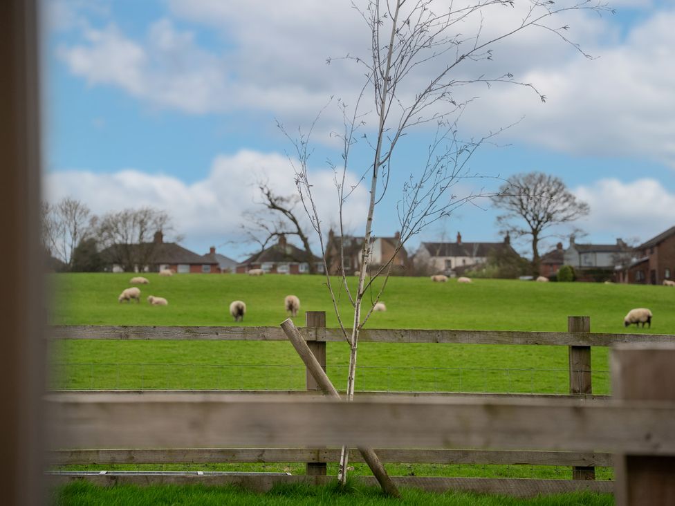 An outdoor view of sheep grazing in a field at Greenacres Farm Harriseahead near Mow Cop