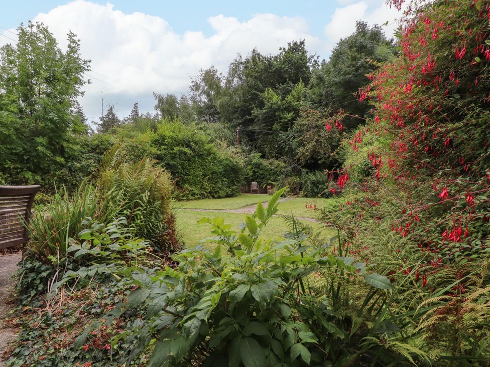 A garden with a pathway and flowering plants at 3 Tre Felin in Llandygai near Bangor
