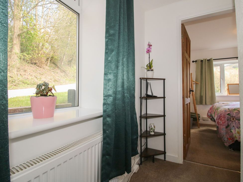 A bedroom with a window and a plant at Spring Bank in Llanfyllin