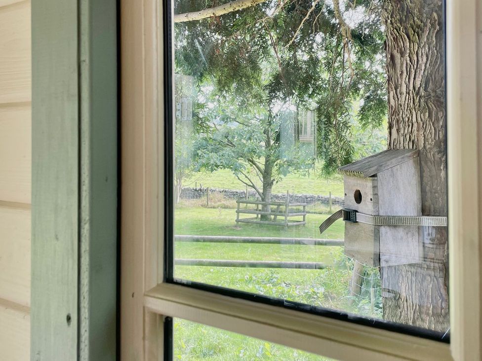 A view from a window showing a birdhouse on a tree and a bench outside at Cwt Tyddyn Shepherd's Hut in Corwen