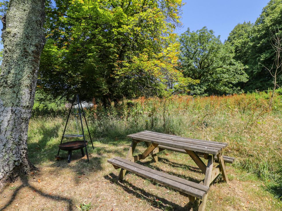 A table and benches with a fire pit in a grassy area at Owls Nest Lodge in South Molton