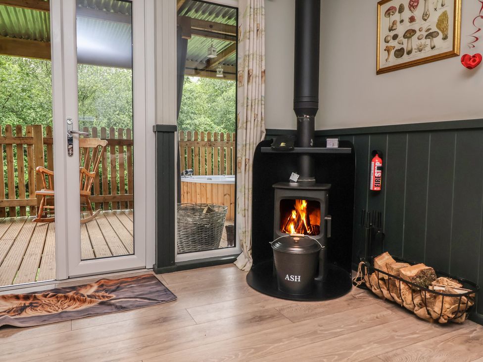 A room with a fireplace and wooden door at Robins Nest Lodge South Molton