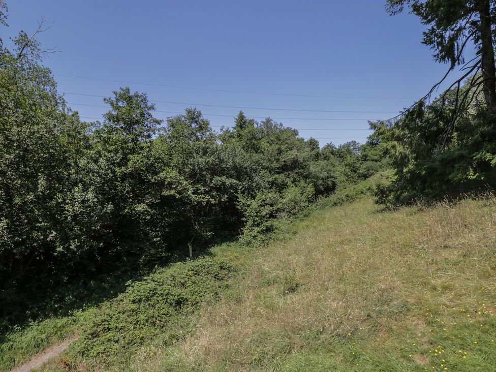 A view of grass and trees with a path at Robins Nest Lodge South Molton