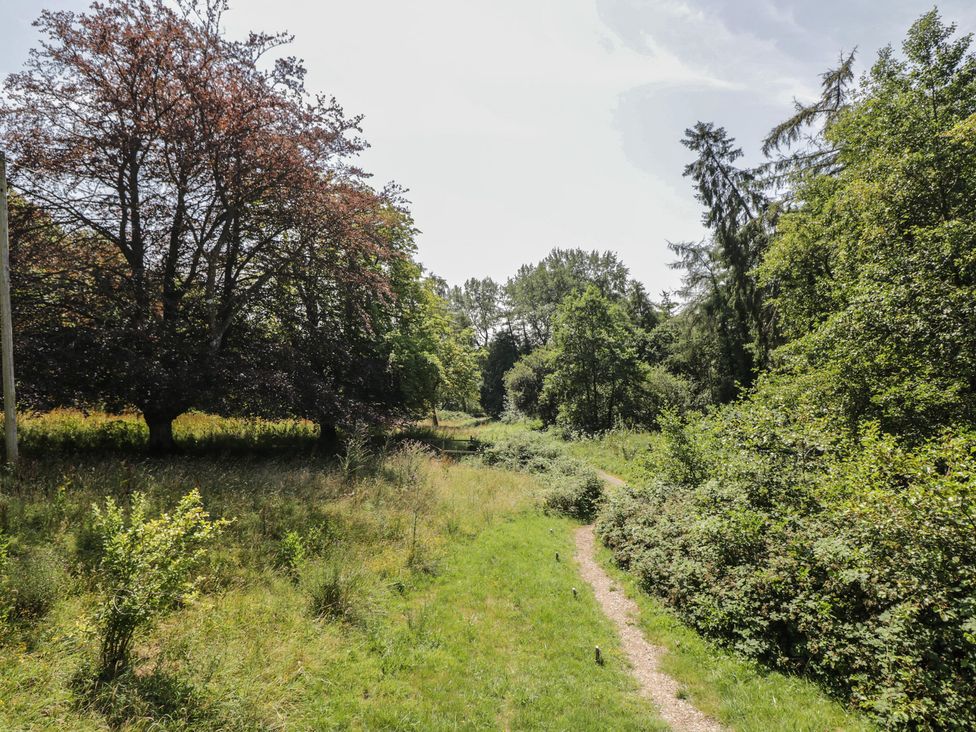 A path through trees and grass at Robins Nest Lodge South Molton
