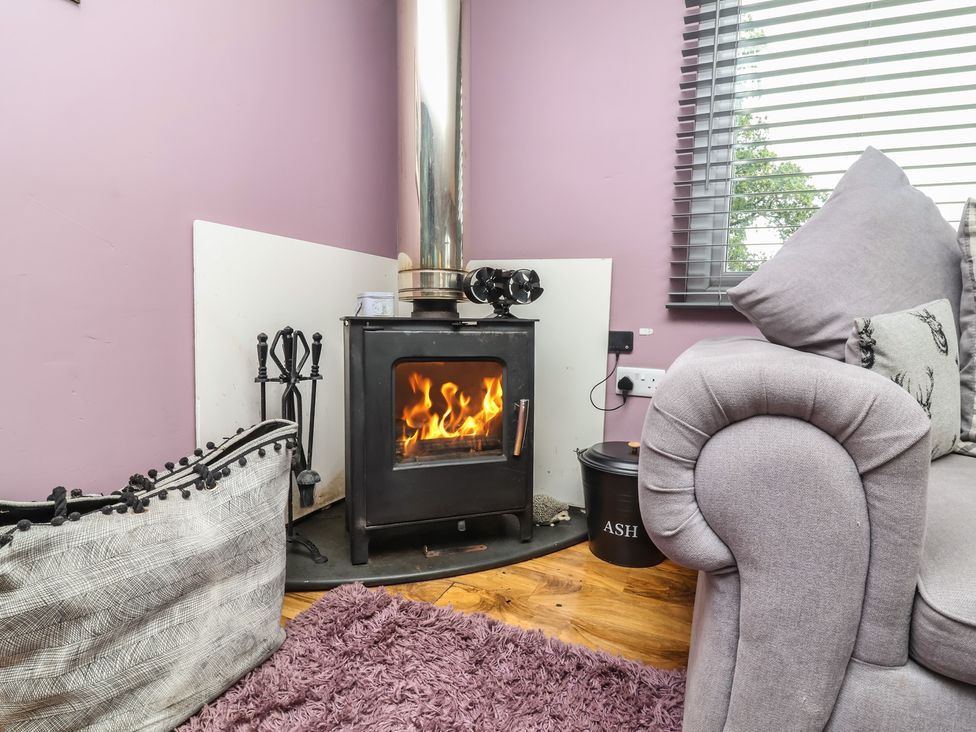 A living room with a stove and fire at Hedgehogs Lodge South Molton