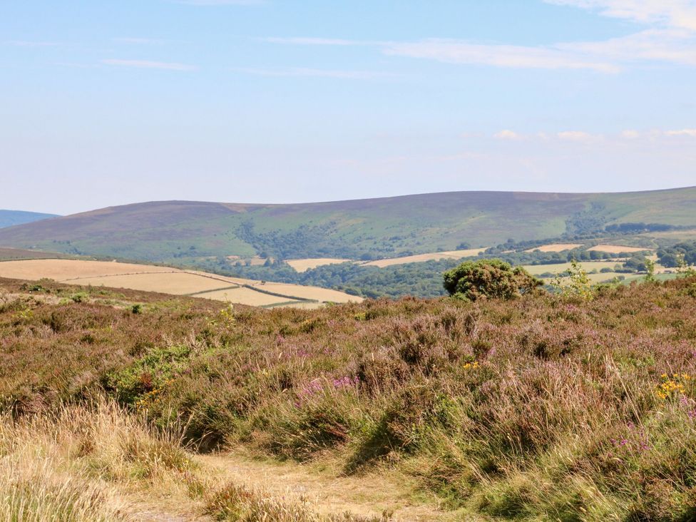A scenic view of hills and heathland at Hedgehogs Lodge in South Molton