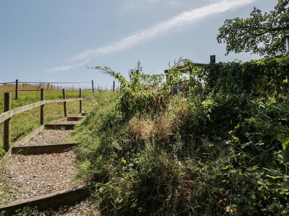 A pathway with steps leading to greenery and a fence at Hedgehogs Lodge South Molton