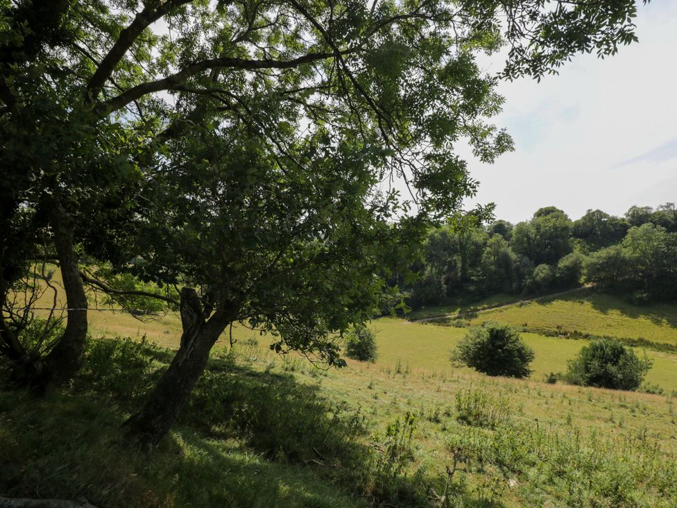 A landscape with trees and hills at Valley View Shepherd's Hut in South Molton