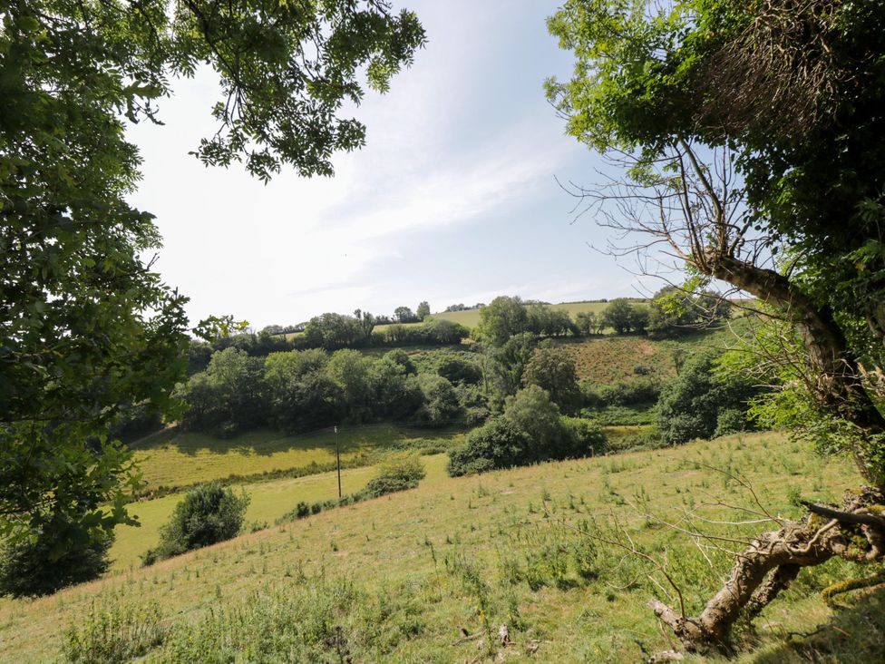 A landscape view of hills and trees at Valley View Shepherd's Hut in South Molton